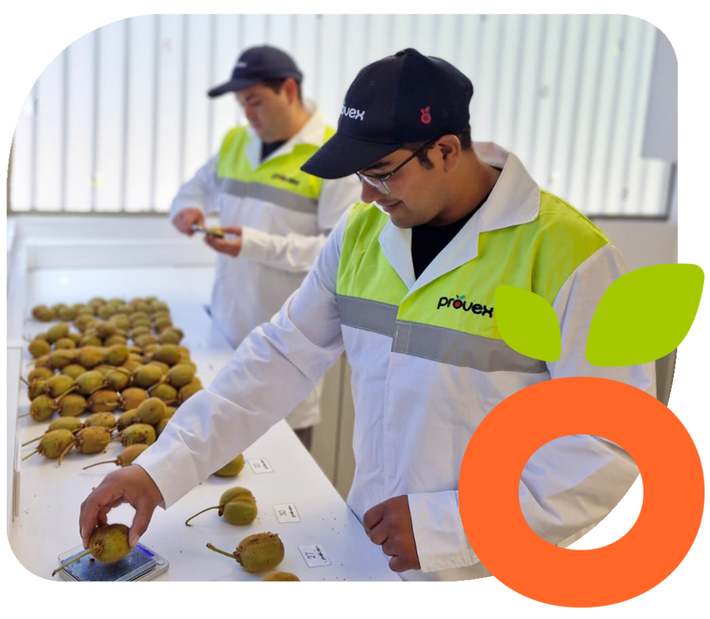 foto seccion certificaciones