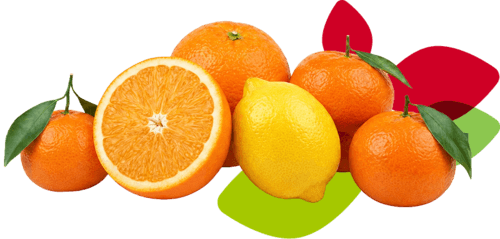 group 83 (1) (1) (1)