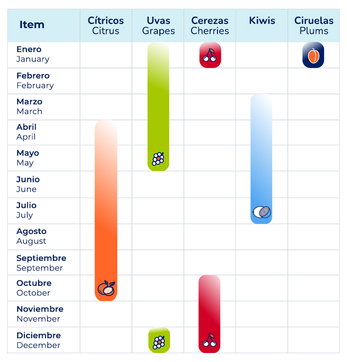 grafico vertical 100