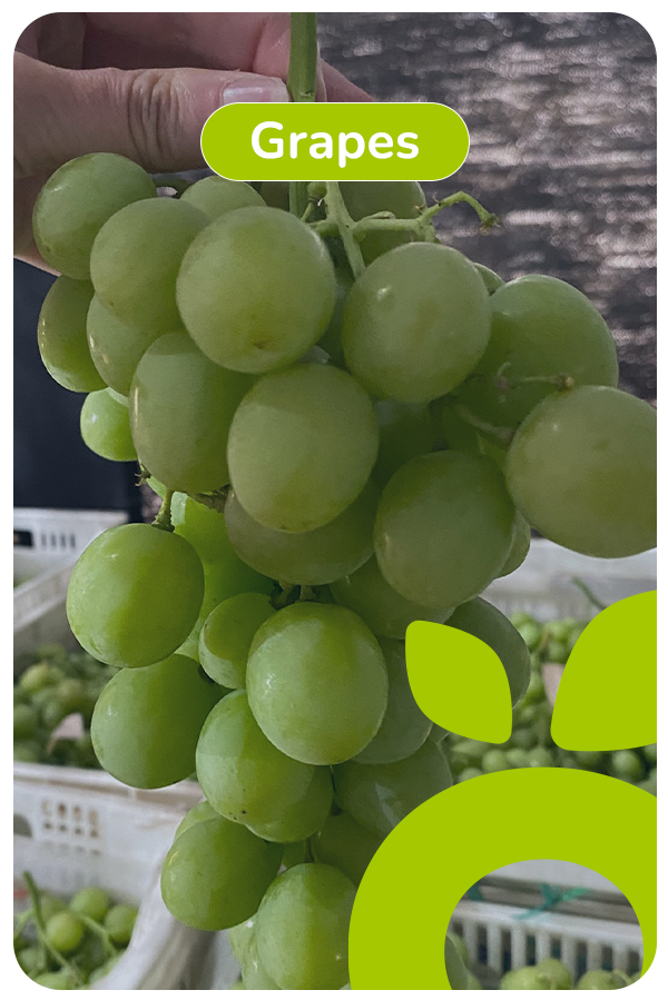 ingles grapes